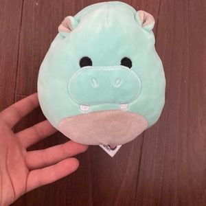 Squishmellow hank and Wendy flip